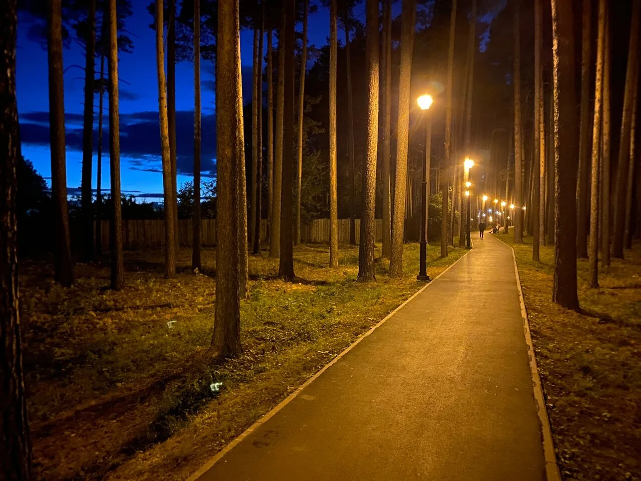 Добрых снов, любимый город! Спокойной ночи, !