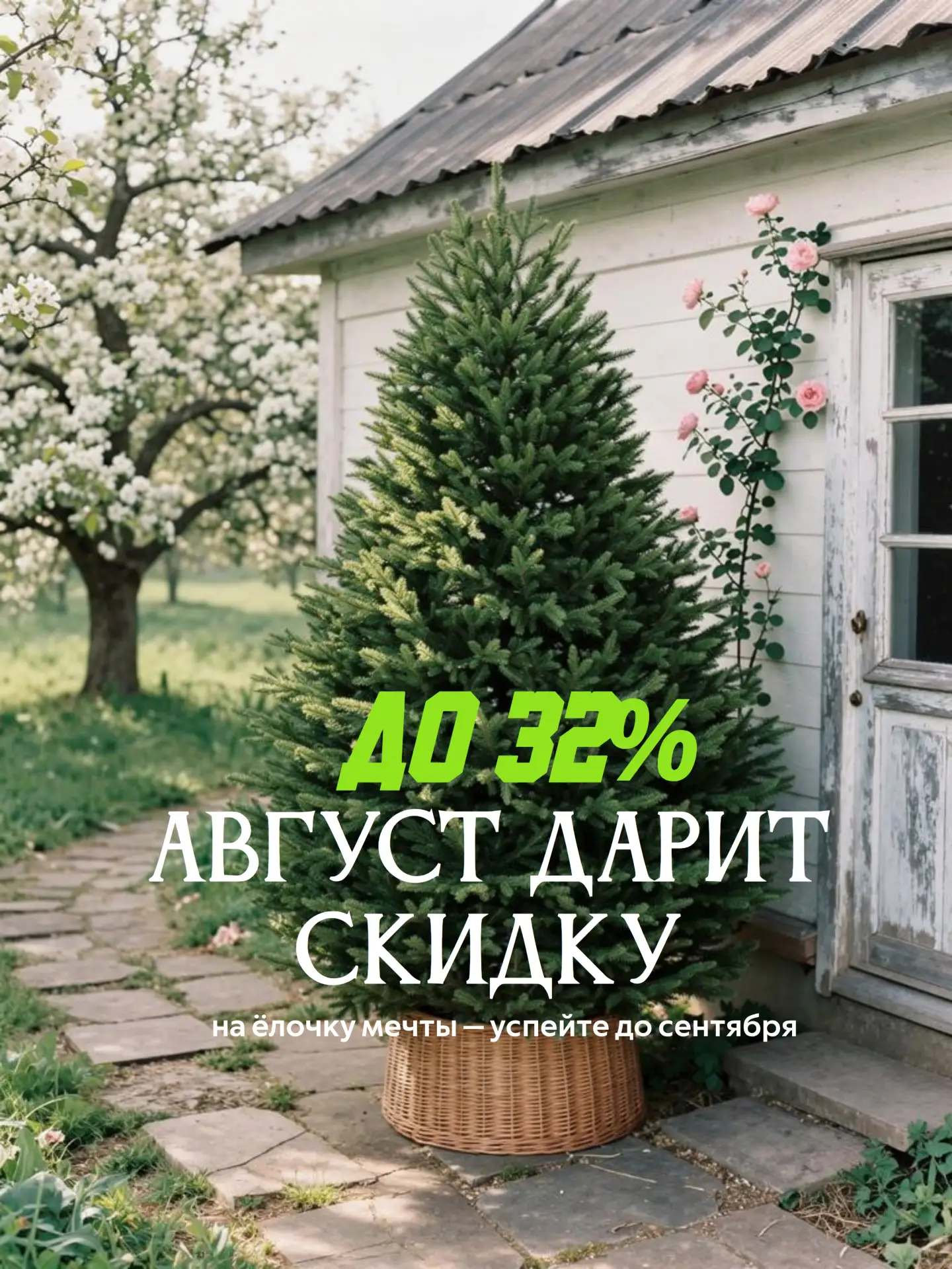 Заберите ёлочку мечты со скидкой до 32% и рассрочкой без банков, но только до 31 августа🌿