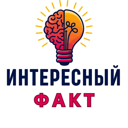🧠 5 удивительных фактов о нашем мозге, которые изменят вашу заботу о себе
В рамках Недели сохранени