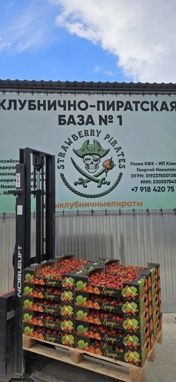 Доброе утро, друзья.
