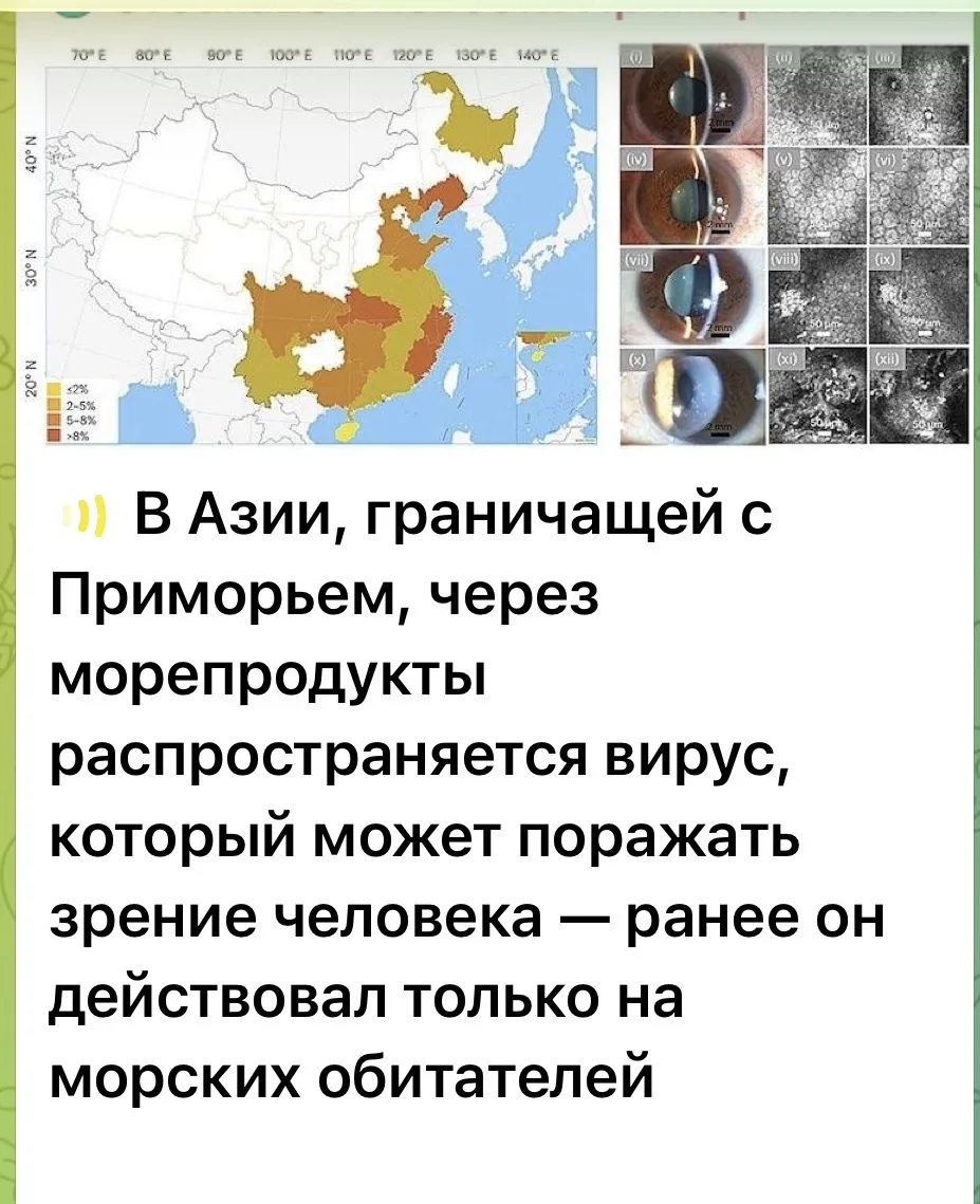 Дорогие мои, здравствуйте!  Это не просто приветствие, это пожелание вам на всю жизнь и ближайшие 20