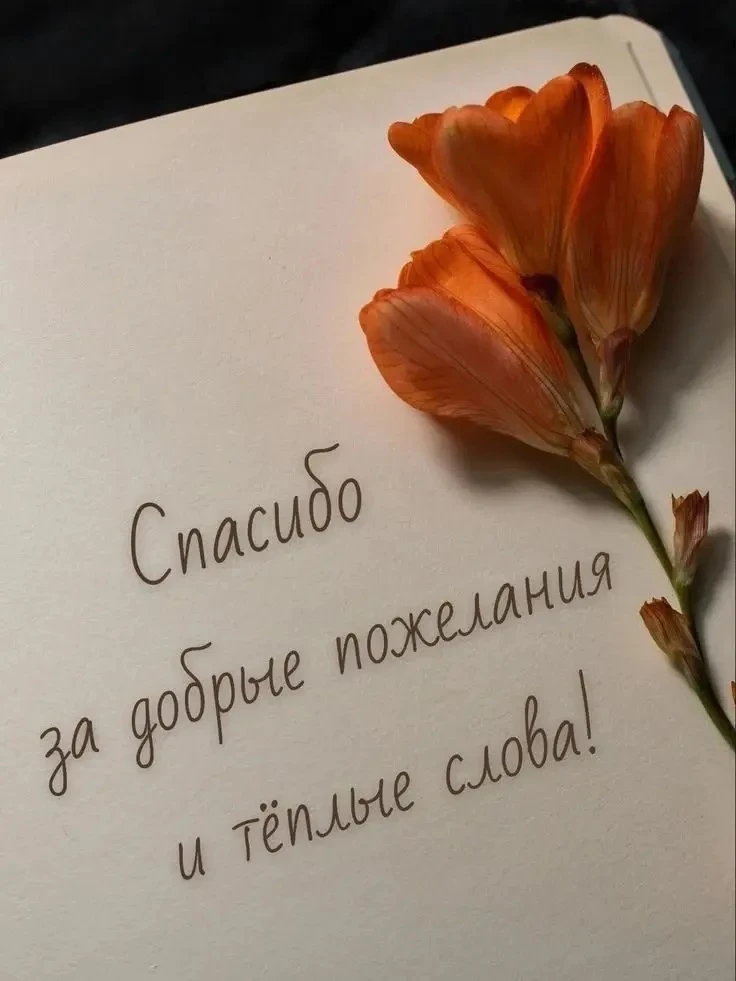 🥰 Ставьте реакции и делитесь открыткой с близкими ❤️