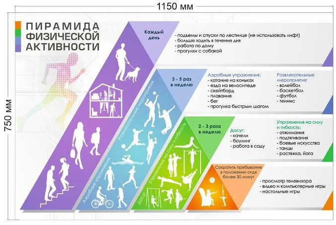 Для взрослых (18–64 года) норма по рекомендациям ВОЗ составляет минимум 150–300 минут умеренных аэро