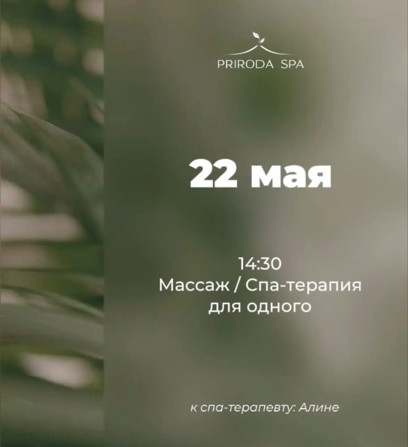 Сегодня в 14:30 появилось горящее окошко к спа-терапевту Алине для одного🌿

PRIRODA ждёт вас❤️
Запи
