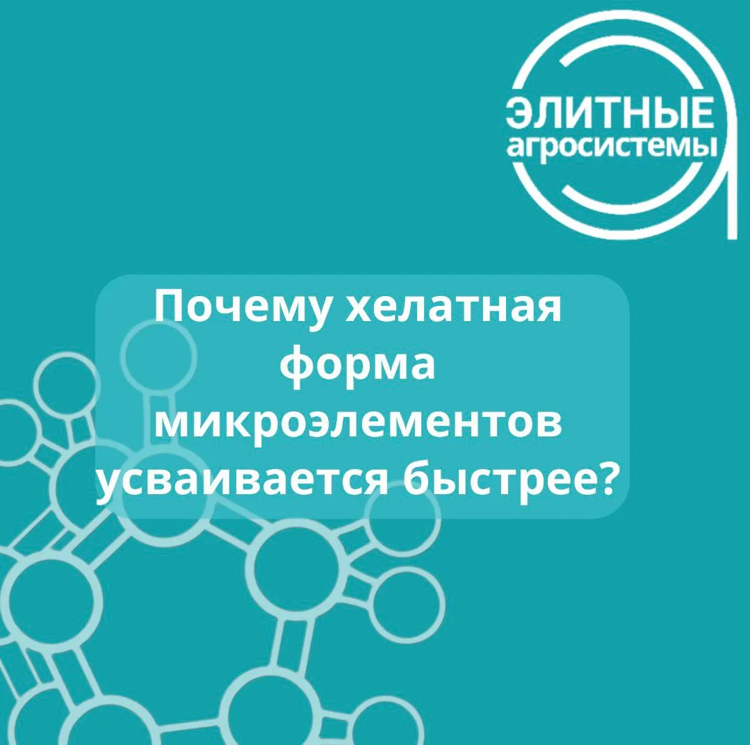 🧬 Хелаты — это комплексные органические соединения, в которых микроэлементы «захвачены...