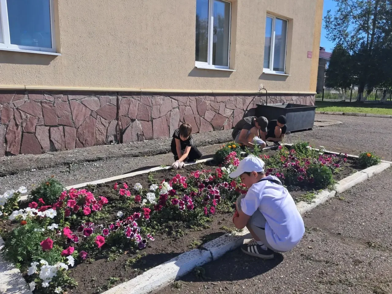 🌸5А на отработках🌸