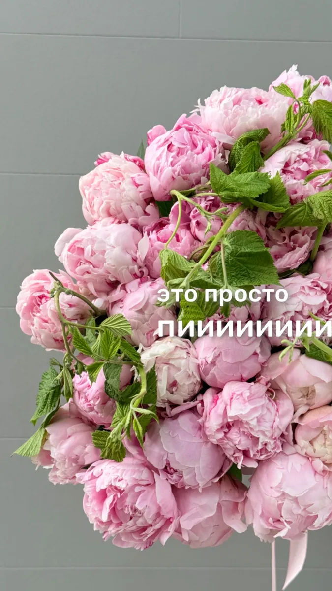 Не оставляйте своих дам без пионов, ведь это самый желанный цветок каждой девушки