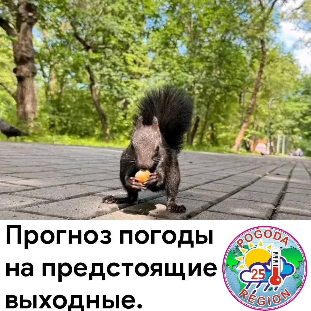 В предстоящие выходные дни  погодные условия в крае наладятся, в темное время суток мес...