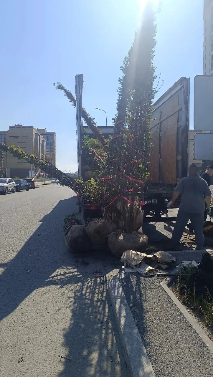 «ЭлитГруз» — помогаем создавать красоту 🌿🚛