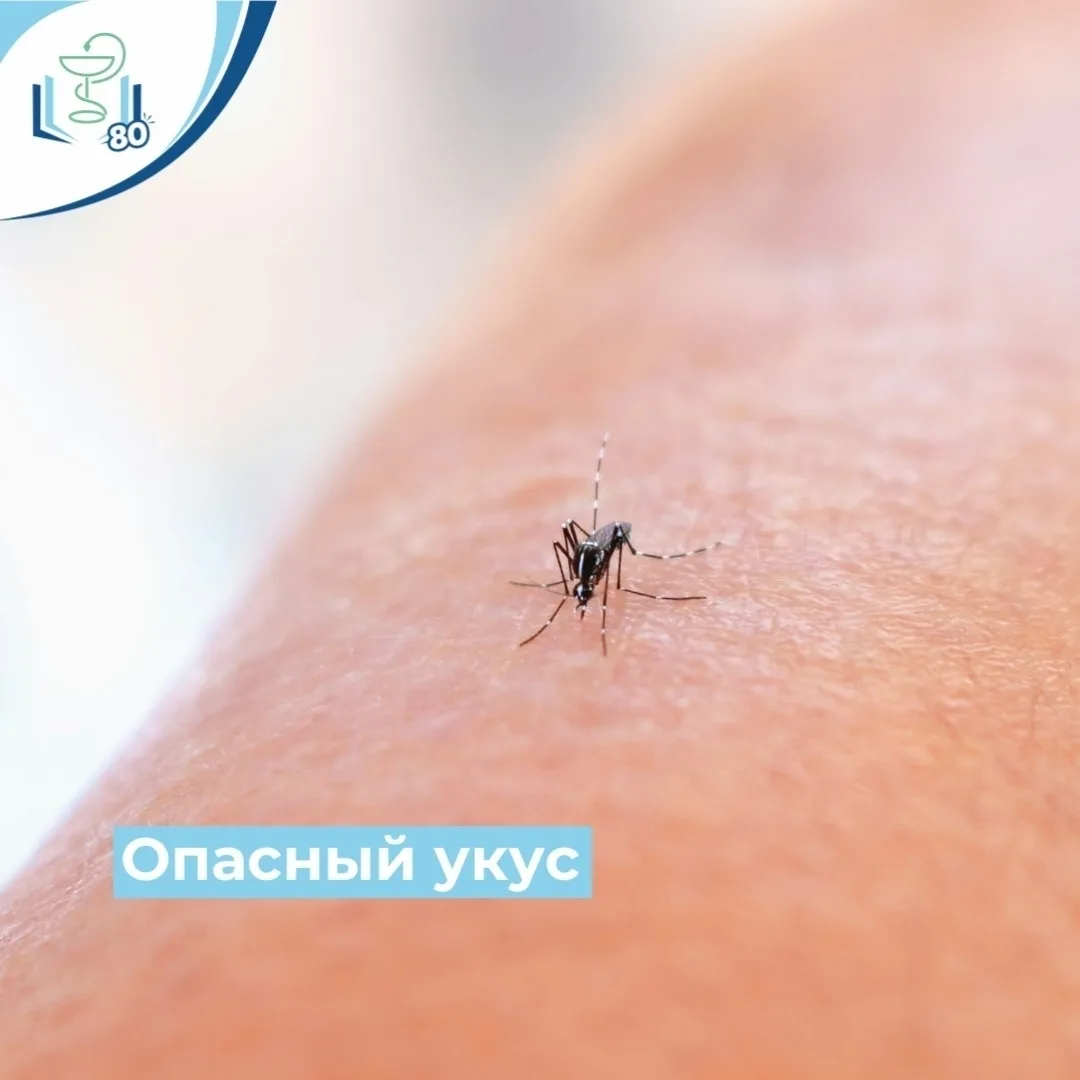 🦟 Укус комара — это не всегда просто зуд. Для большинства людей встреча с насекомыми з...