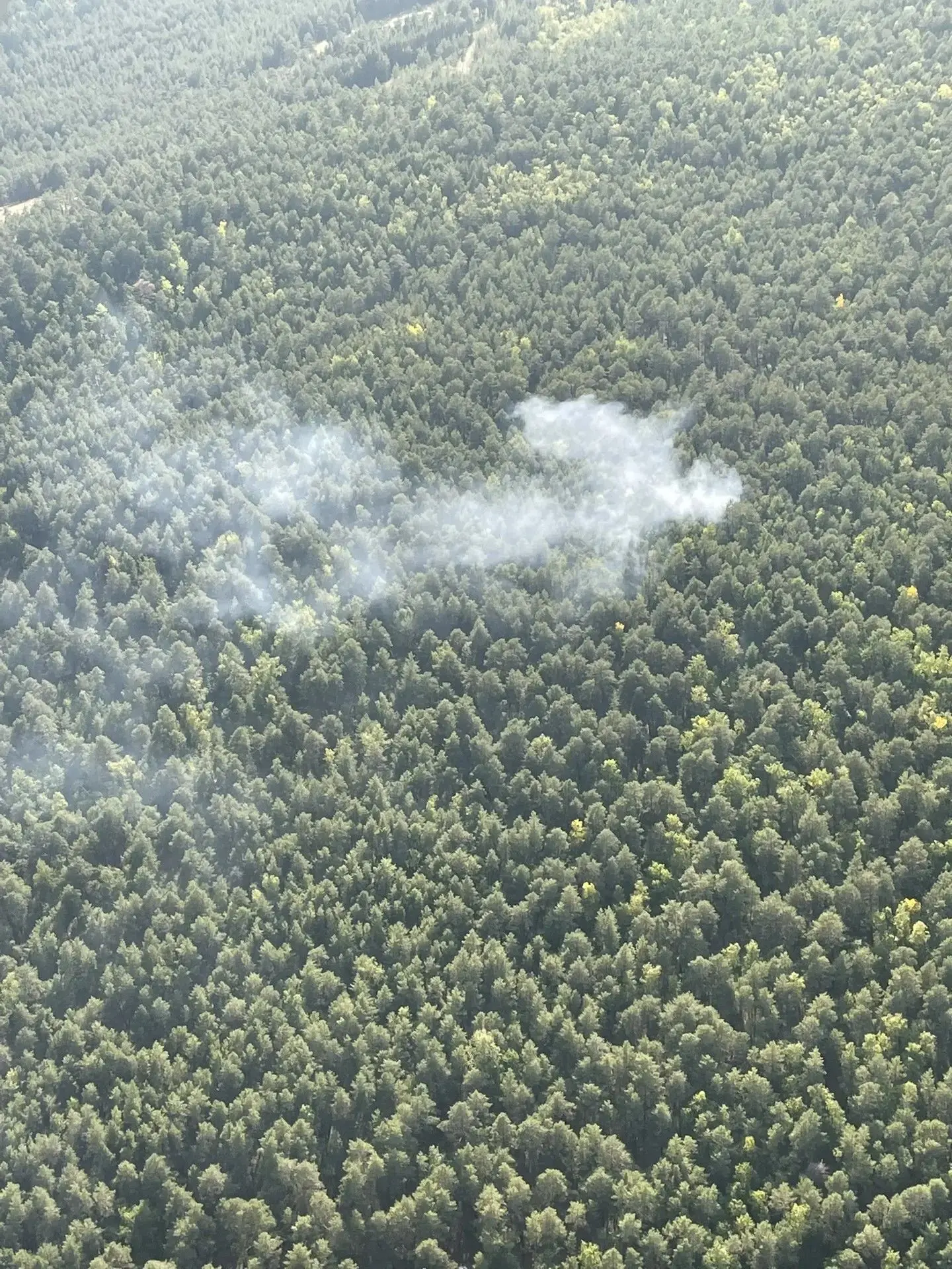 ❗ Ещё один лесной пожар возник по вине человека