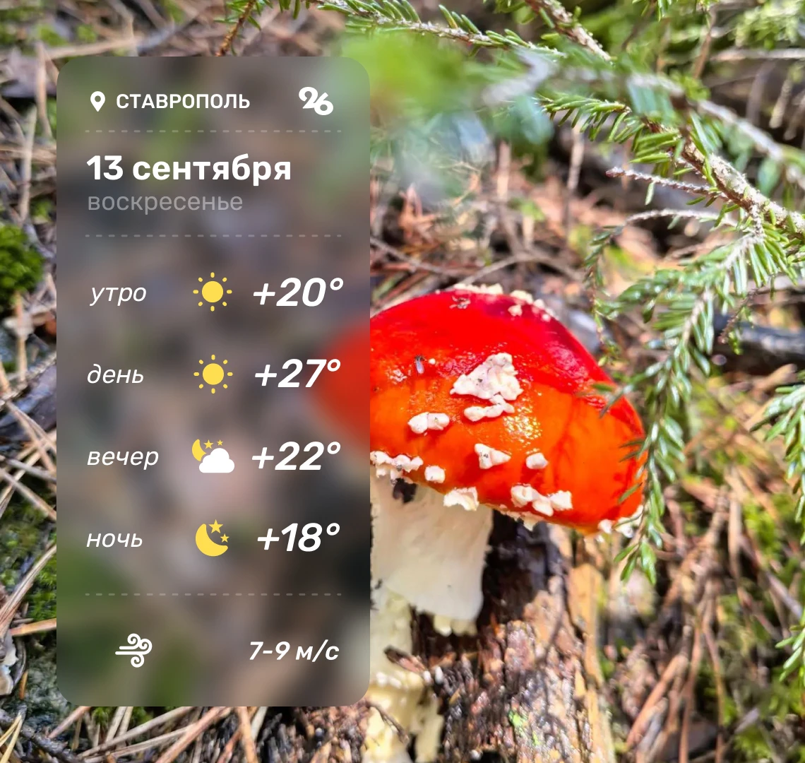 ☀️ Доброе утро! Погода в Ставрополе в воскресенье, 13 сентября