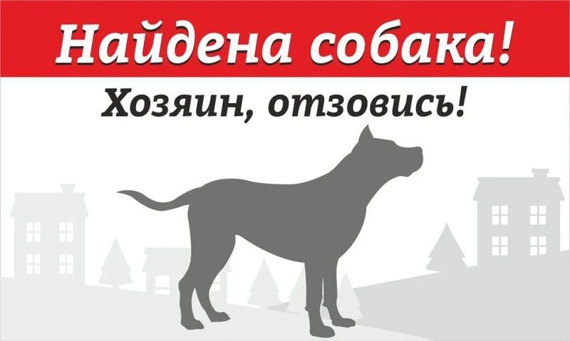 Уважаемые жители и гости поселения!