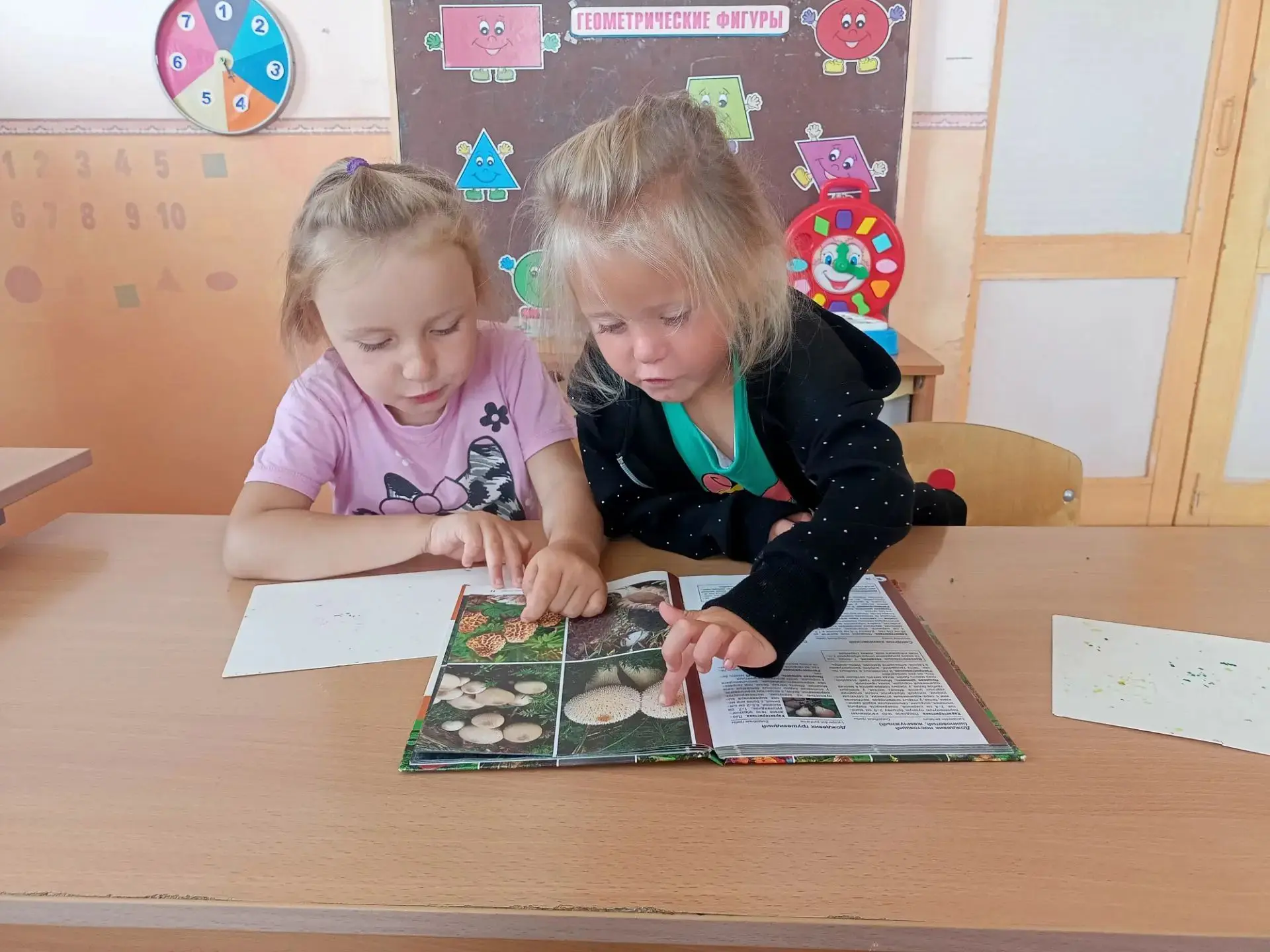Грибы — это удивительные живые организмы, которые не похожи ни на растения, ни на живот...