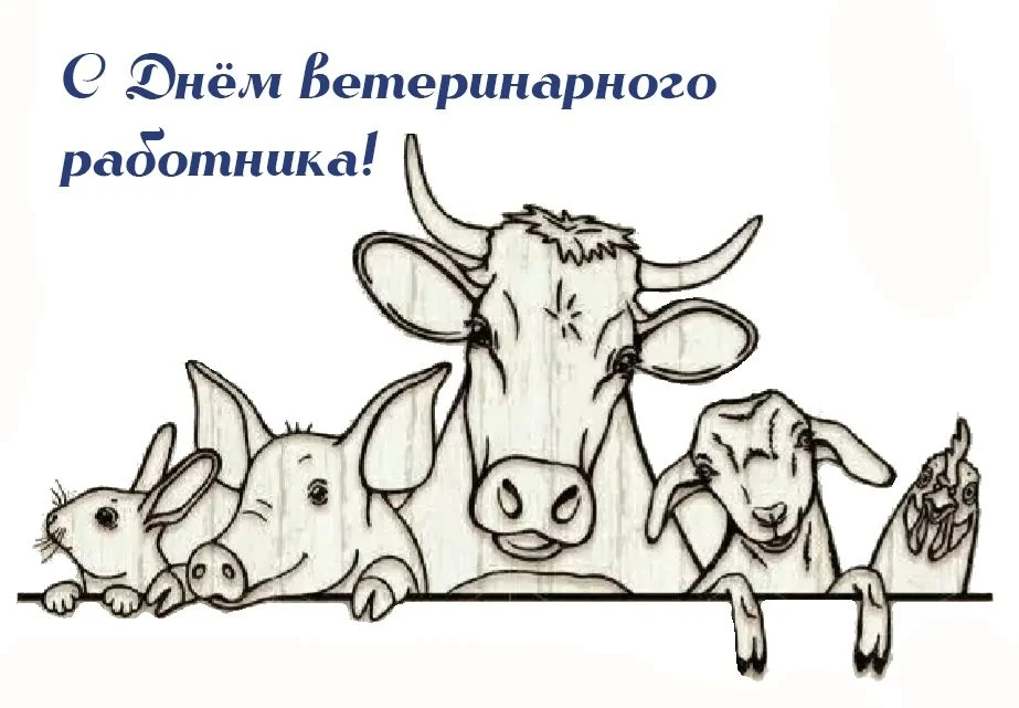 Уважаемые работники и ветераны ветеринарной службы!