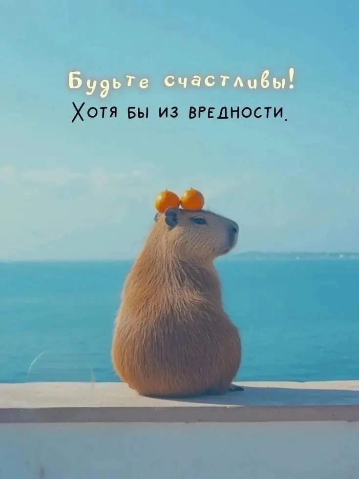 ❤️ Доброй ночи, друзья!