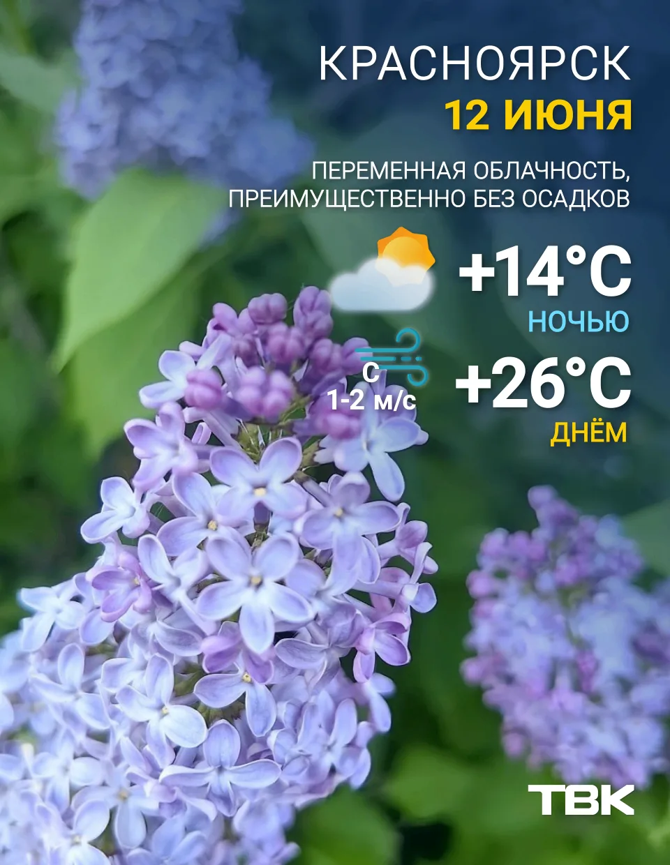 Погода на сегодня