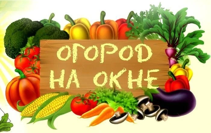 Конкурс - «Лучший огород на окне»
