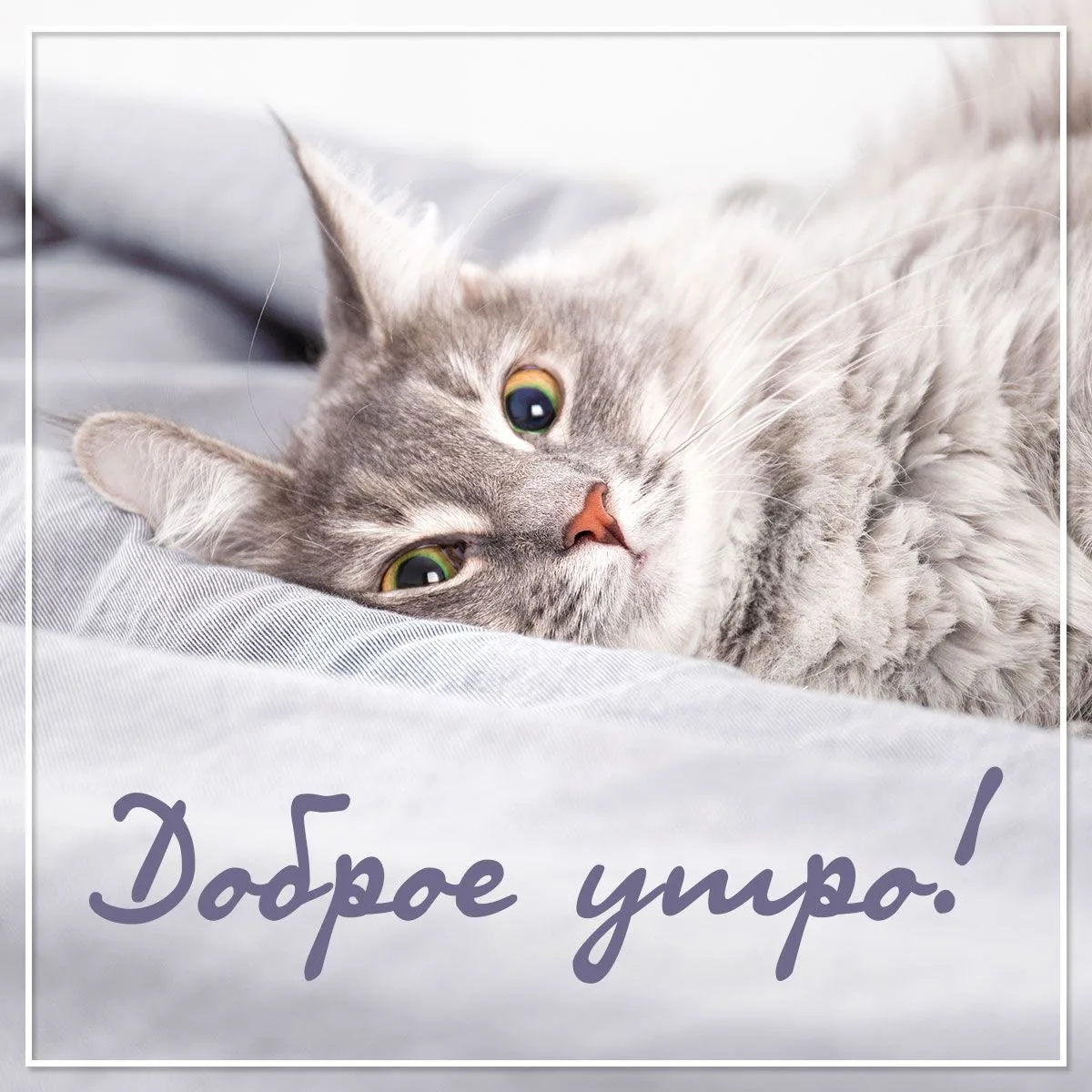 КРАСИВЫЕ ОТКРЫТКИ ТУТ💖