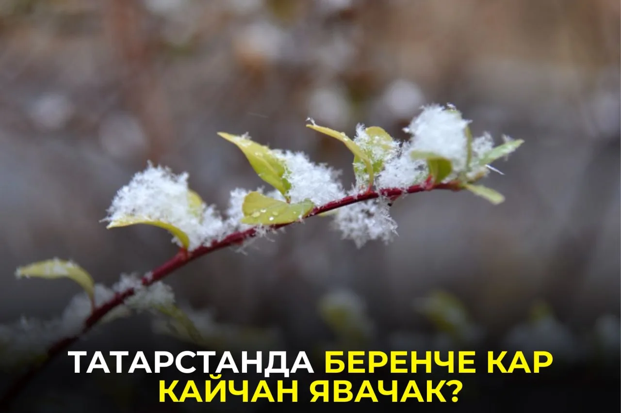 Синоптиклар республикада беренче кар яву ихтималы булган вакытны атады: https://interta...