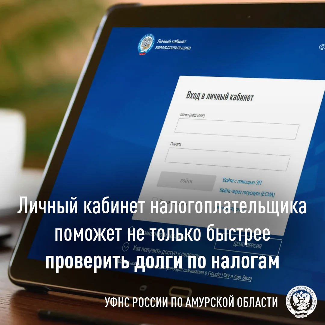Возможности личного кабинета налогоплательщика
