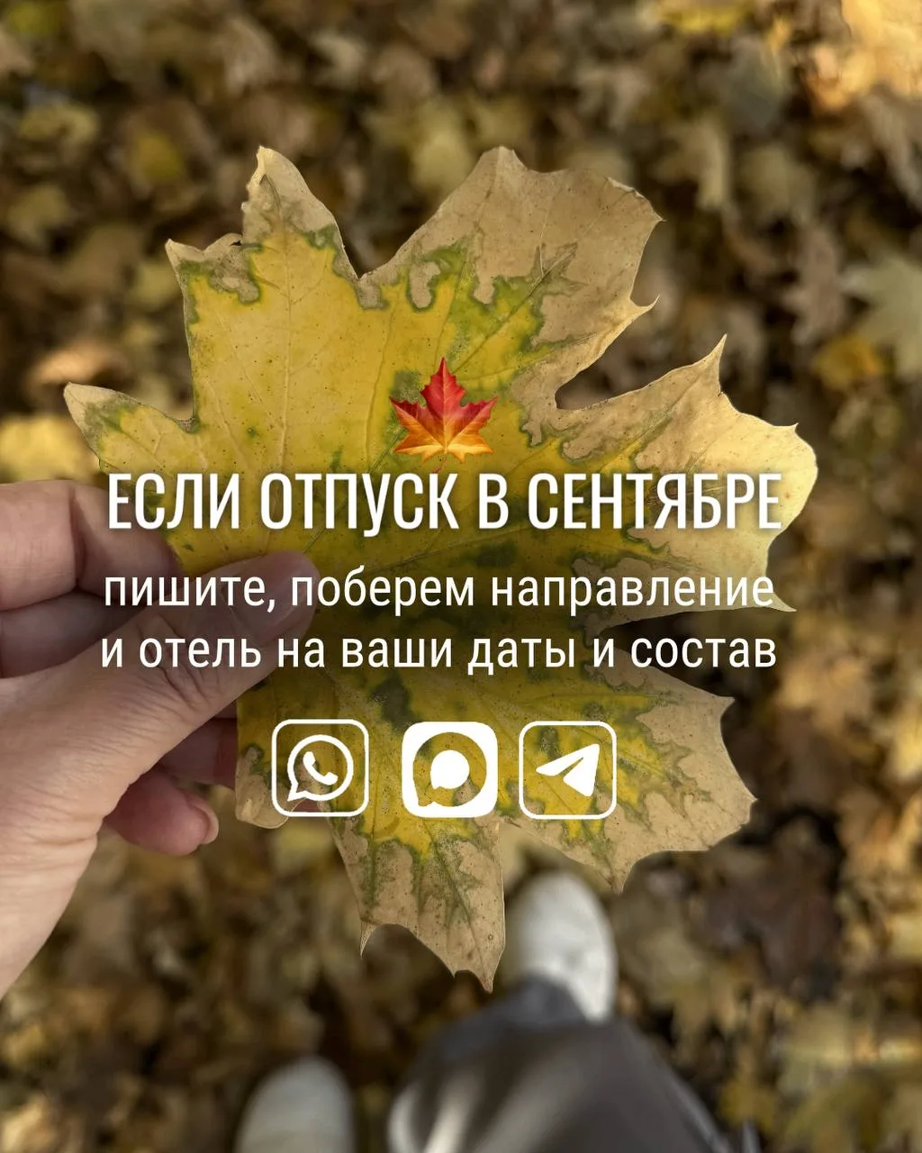Куда улететь на отдых в сентябре? ✈️