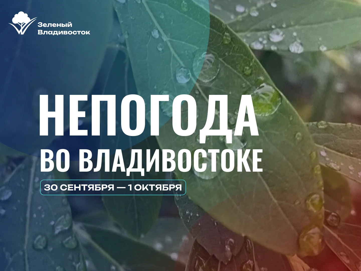 ⛈️Во Владивостоке объявлено штормовое предупреждение