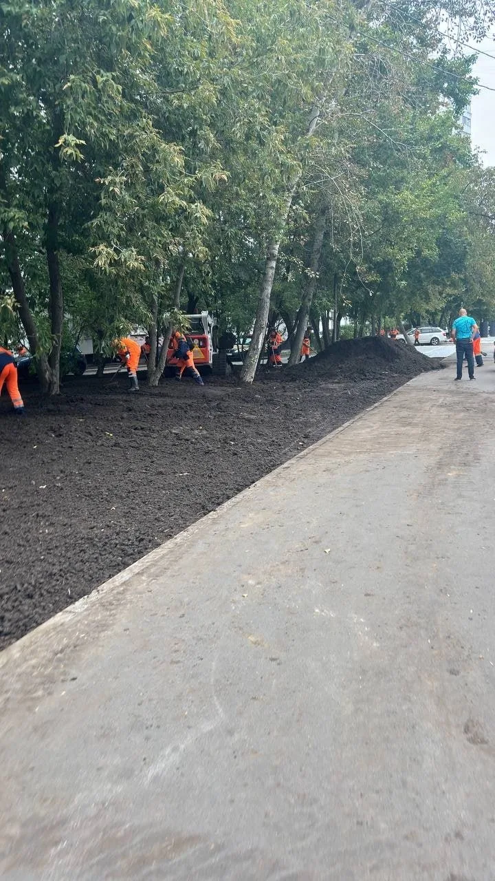 🌿 В субботу на Маршала Захарова, 12, с двух сторон вдоль улицы высадили газоны.