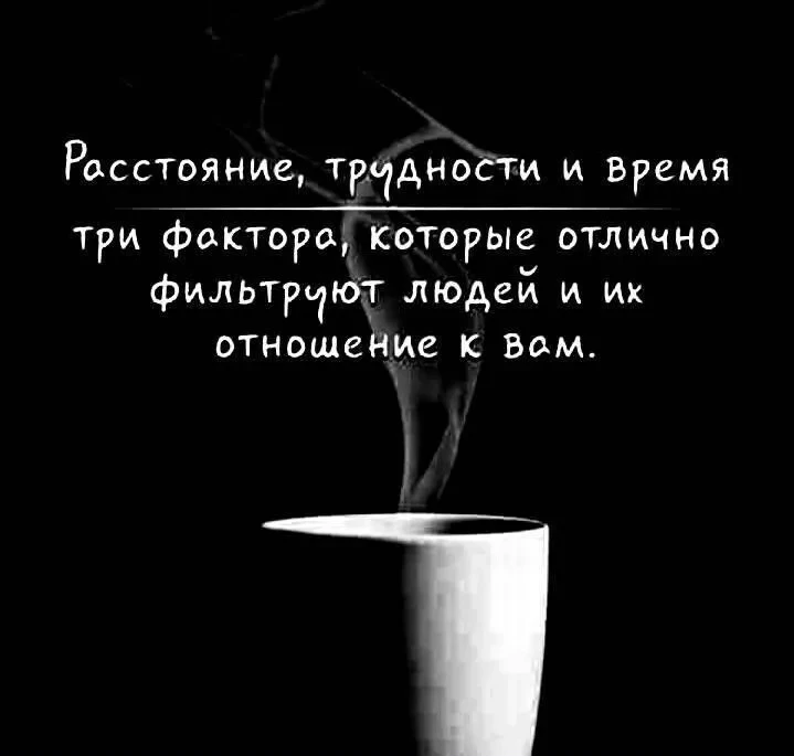 Цитаты 😉