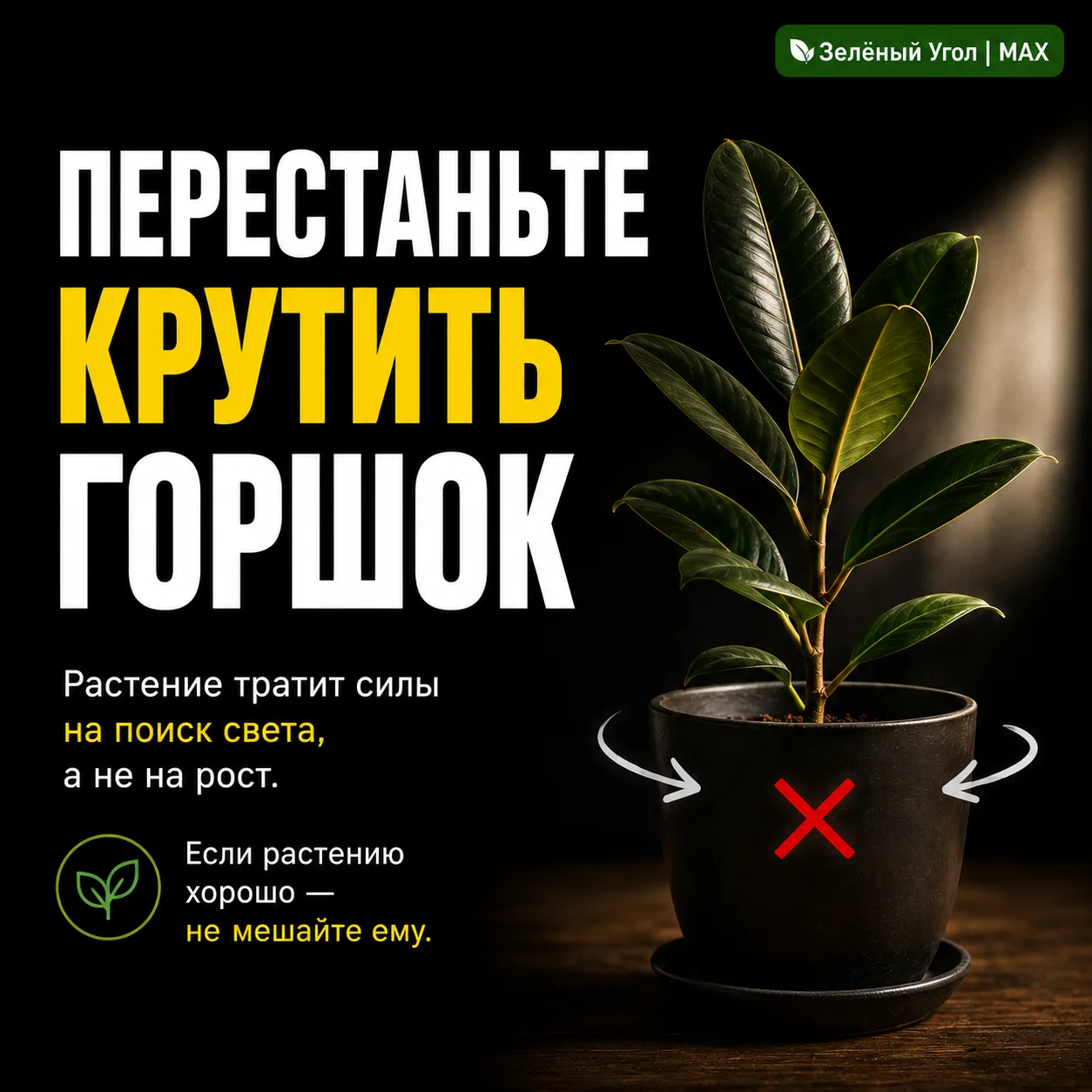 ПЕРЕСТАНЬТЕ КРУТИТЬ ГОРШОК
