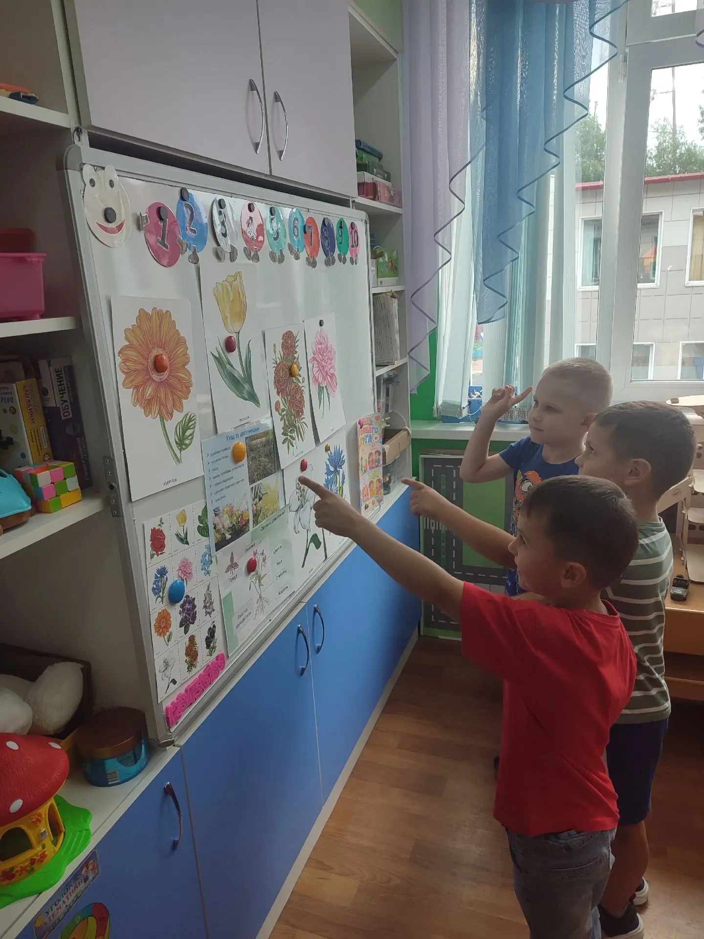 Изучили много нового о цветах 🌺🌸❤️