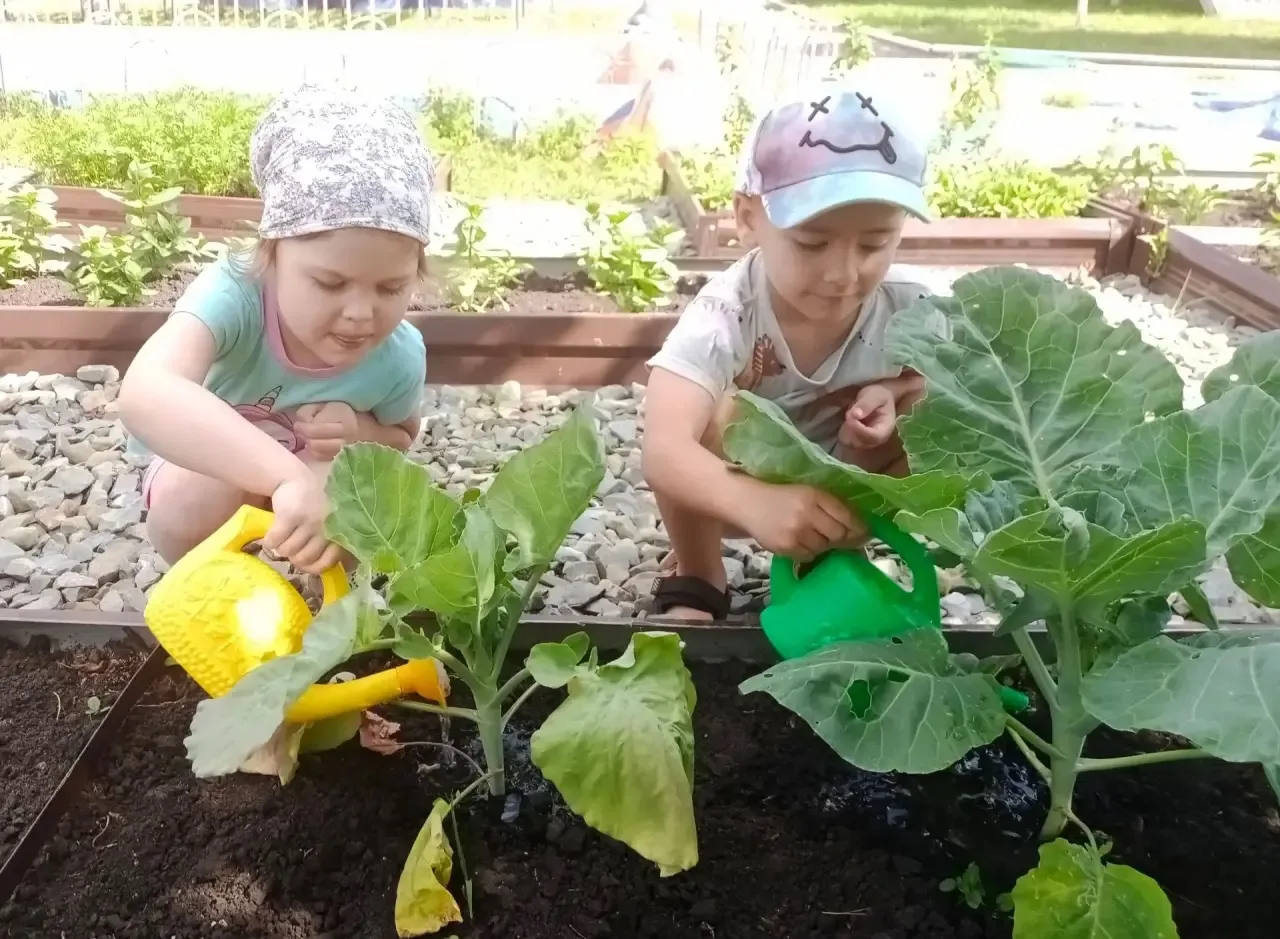 🌱 Наш огород: от маленького семечка до большого урожая!