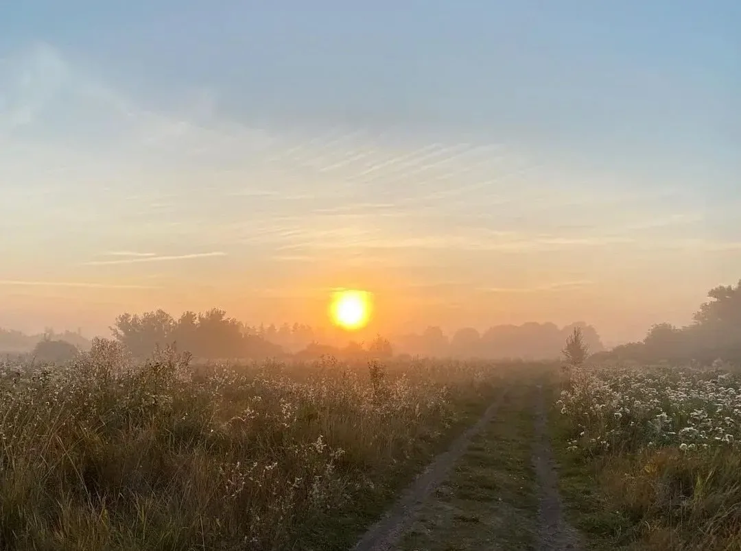 Доброе утро. ☀️