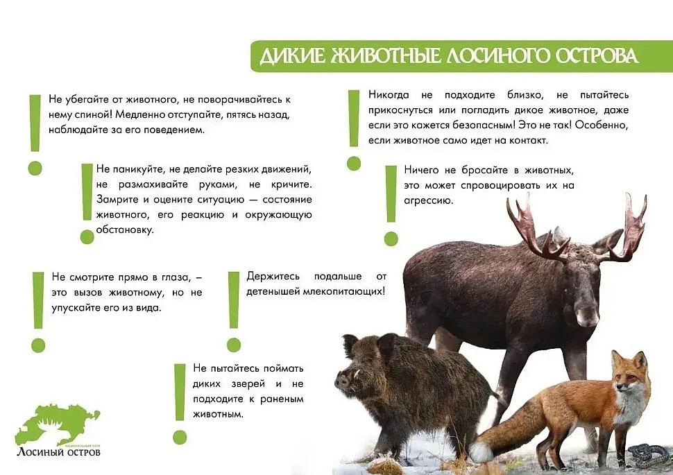 ЕДДС информирует: