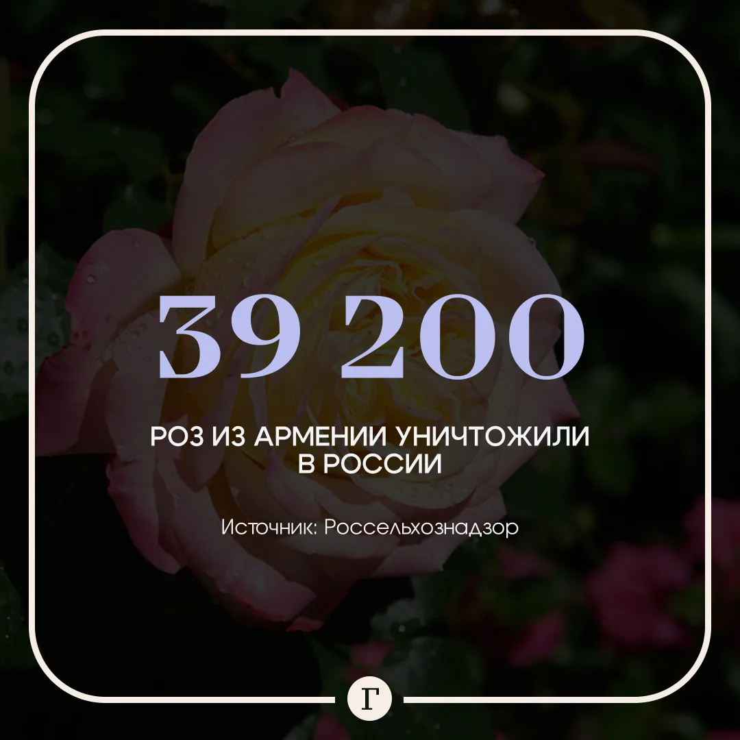 В России уничтожили 39 тыс. роз из Армении. 

Цветы пытались ввезти в РФ из Белоруссии по поддельным