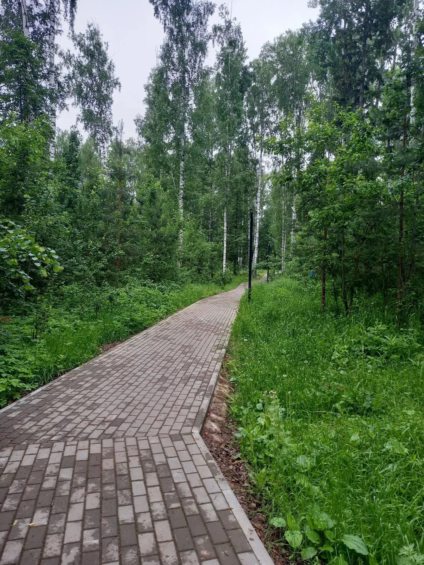 🏡 Сельские территории Удмуртии становятся комфортнее