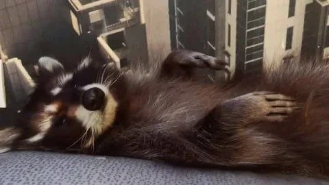 🌜Доброй ночи, дорогие подписчики! Доброй ночи, Запорожье!😴