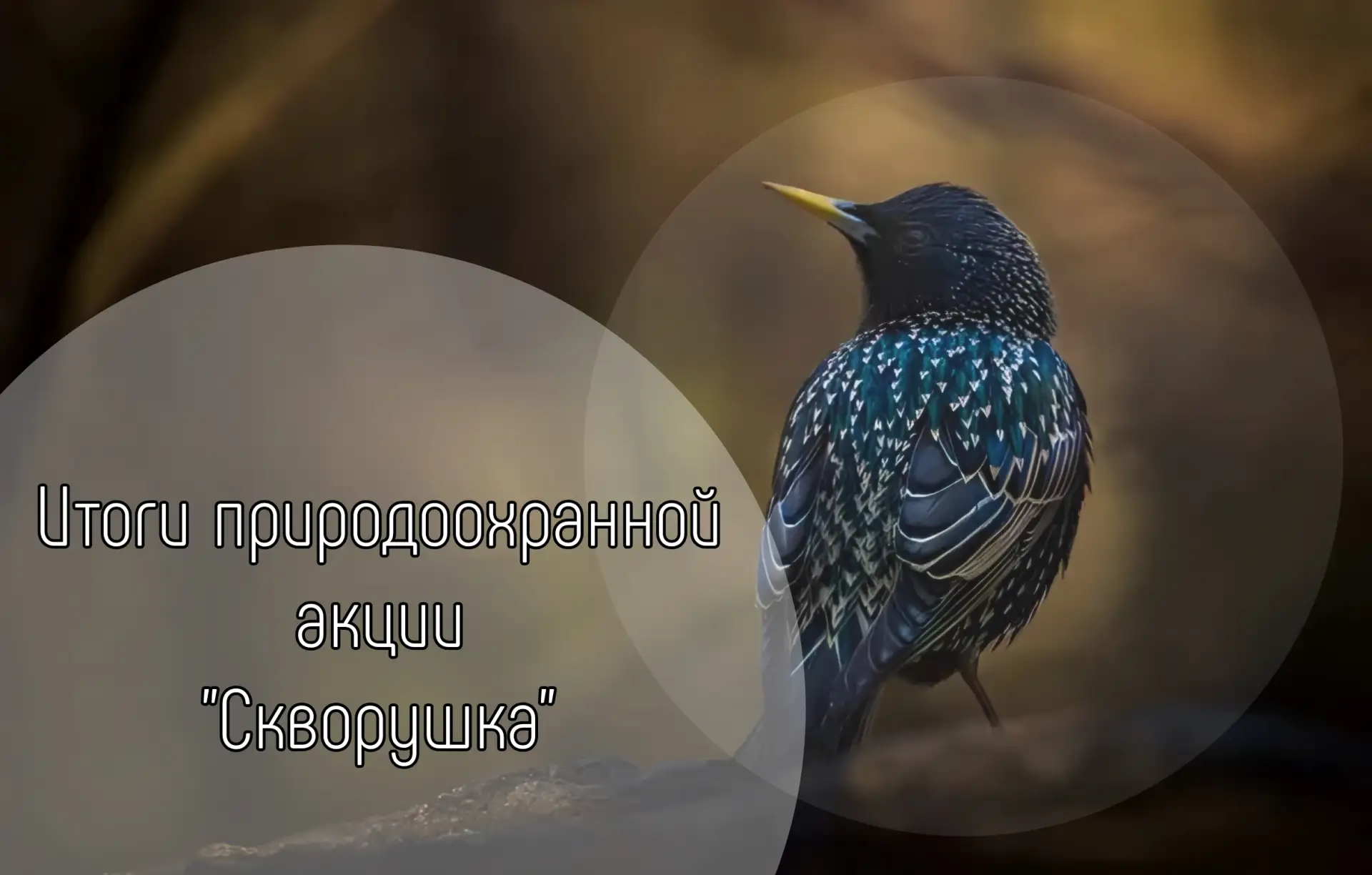 🌿 Подведены итоги муниципальной экологической акции «Скворушка» 🐦  В рамках акции участники изготавл