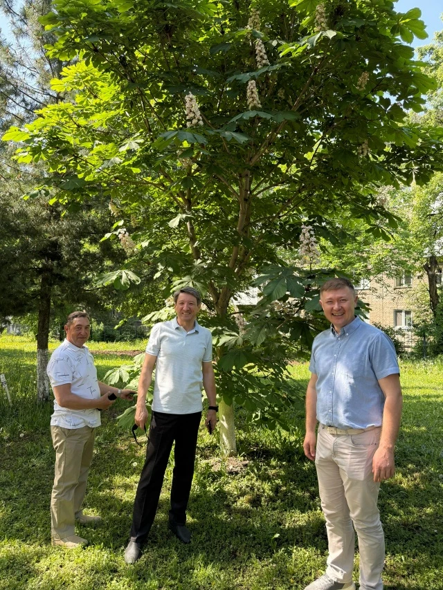 А вы уже видели, как на территории БашГАУ зацвёл каштан? 🌿  Этой весной белоснежные «свечи» конского