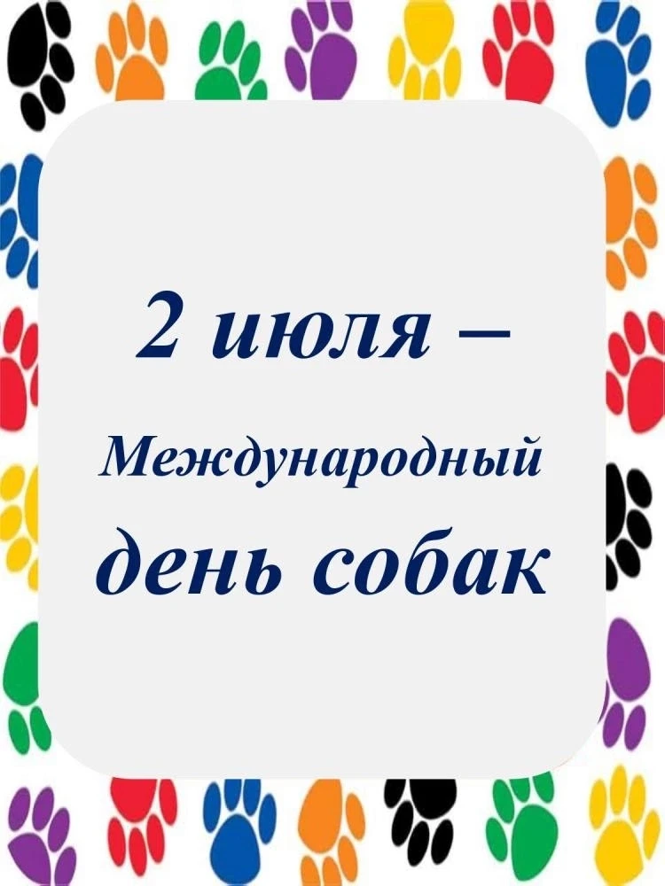 Сегодня 2 июля отмечается международный день собак 🐩🦮🐕‍🦺 В старшей группе прошел тематический де