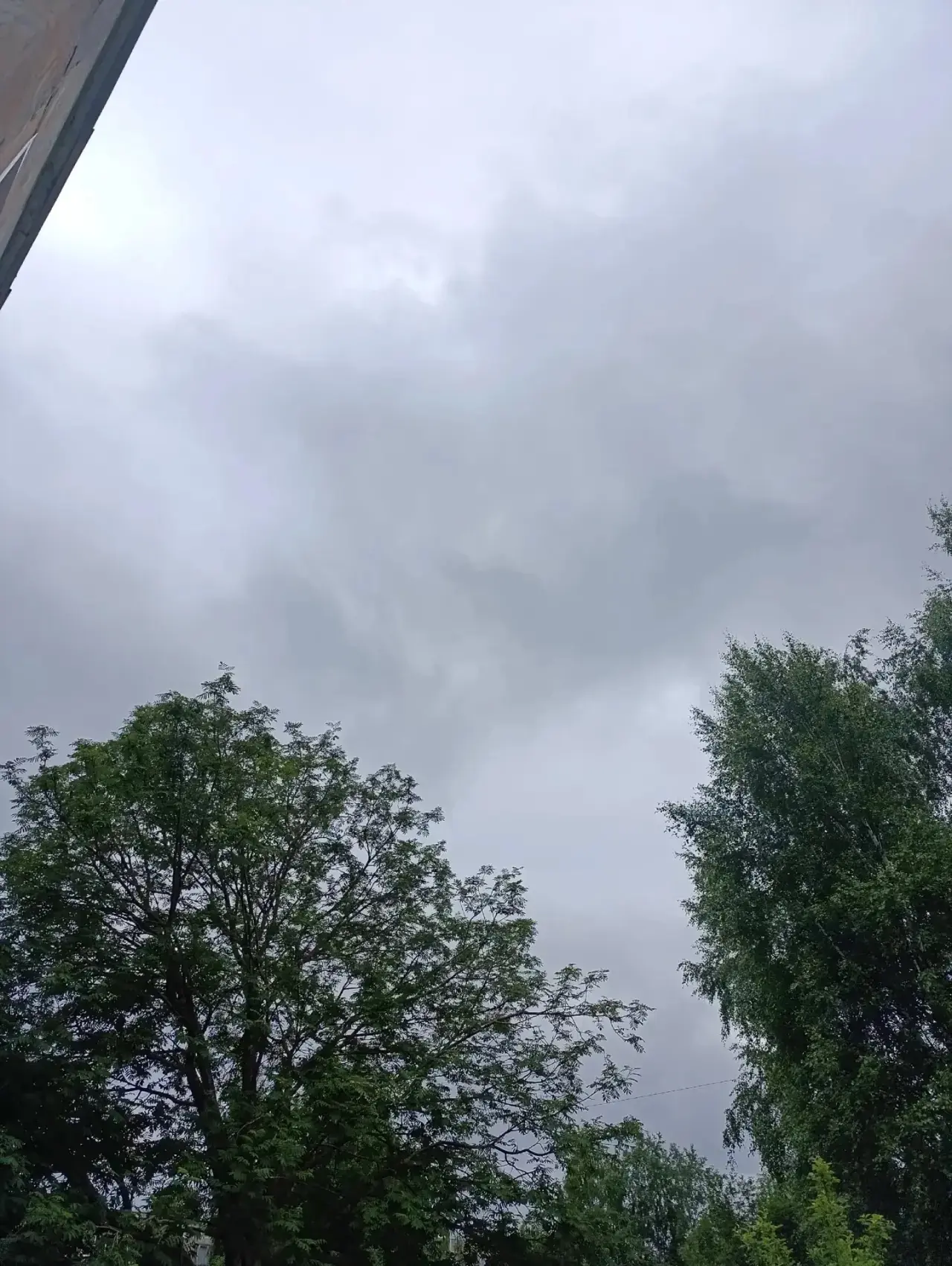 День облаков: волшебство неба прямо над головой! ☁️✨
Сегодняшняя прогулка превратилась в настоящее п