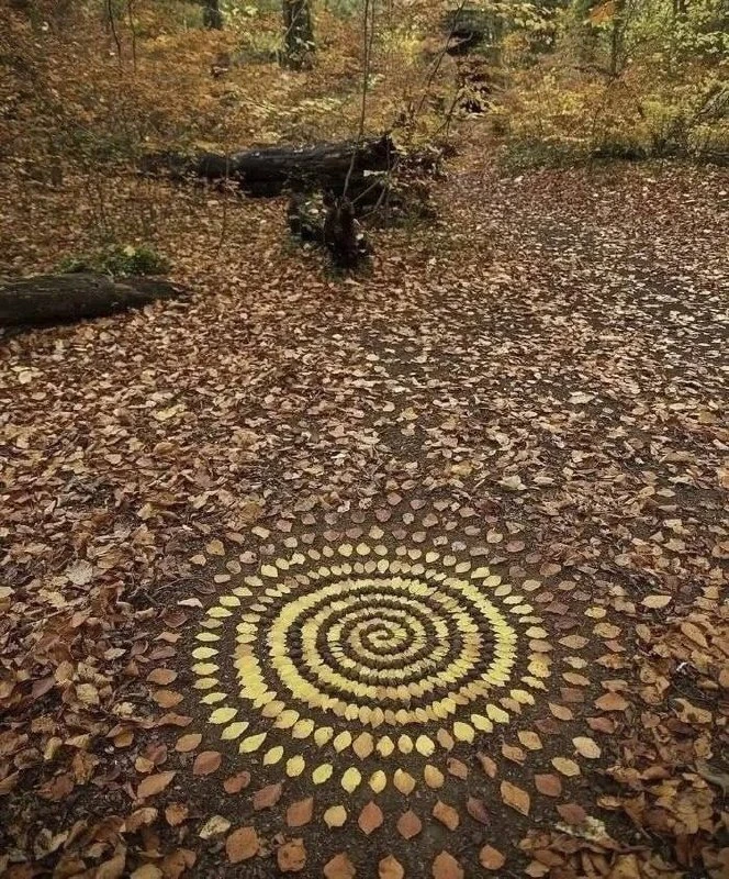 🍂Кто-то cдeлaл οceнниe мοзaиκи из лиcтьeв!