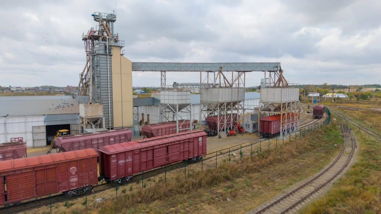 🇰🇿 На 12% нарастил экспорт зерна Казахстан