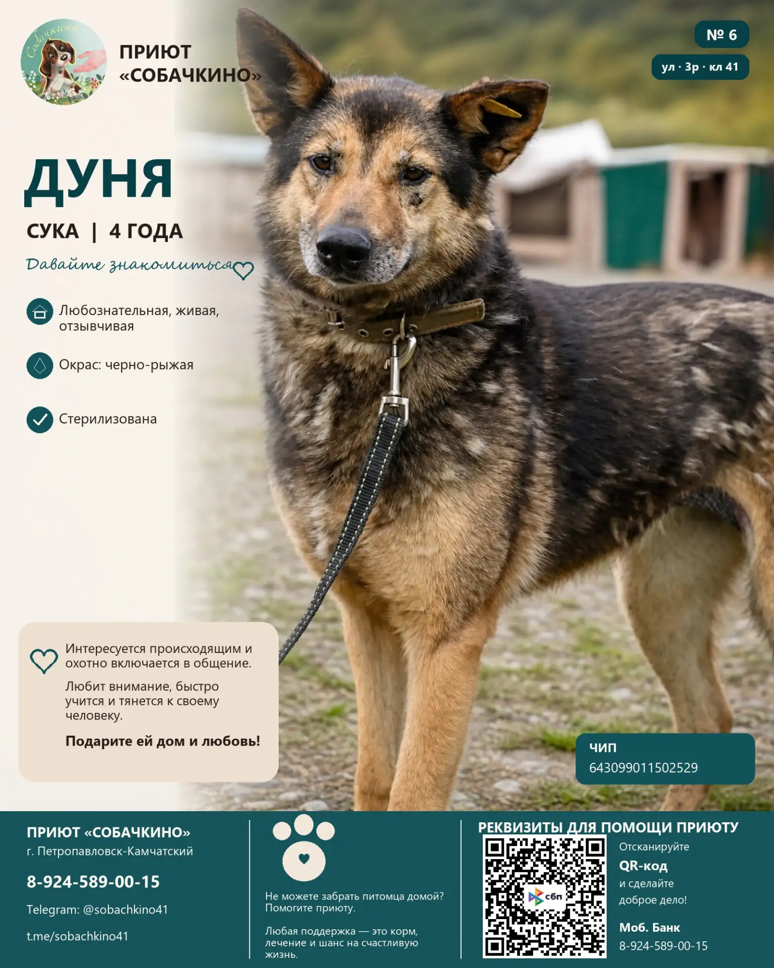 Дуня ищет дом. ❤️