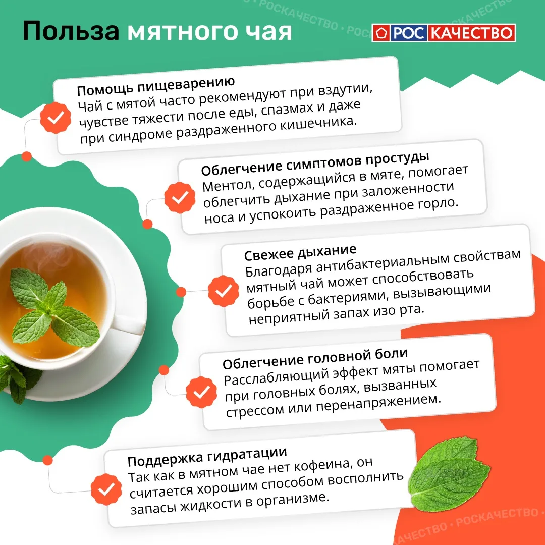Всё, что вам нужно знать о мятном чае 🌿

Дачный сезон в самом разгаре — и один из любимых напитков,