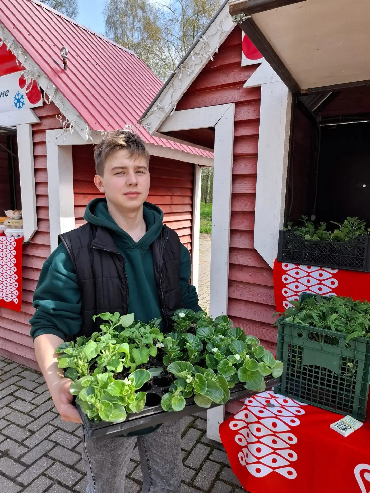 🌸 Весенняя ярмарка в Вытегре: саженцы, рассада и народные умельцы!