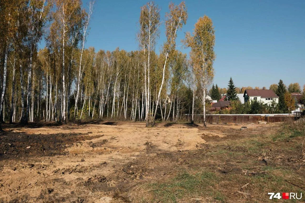 Жители «Залесья» обеспокоены вырубкой леса