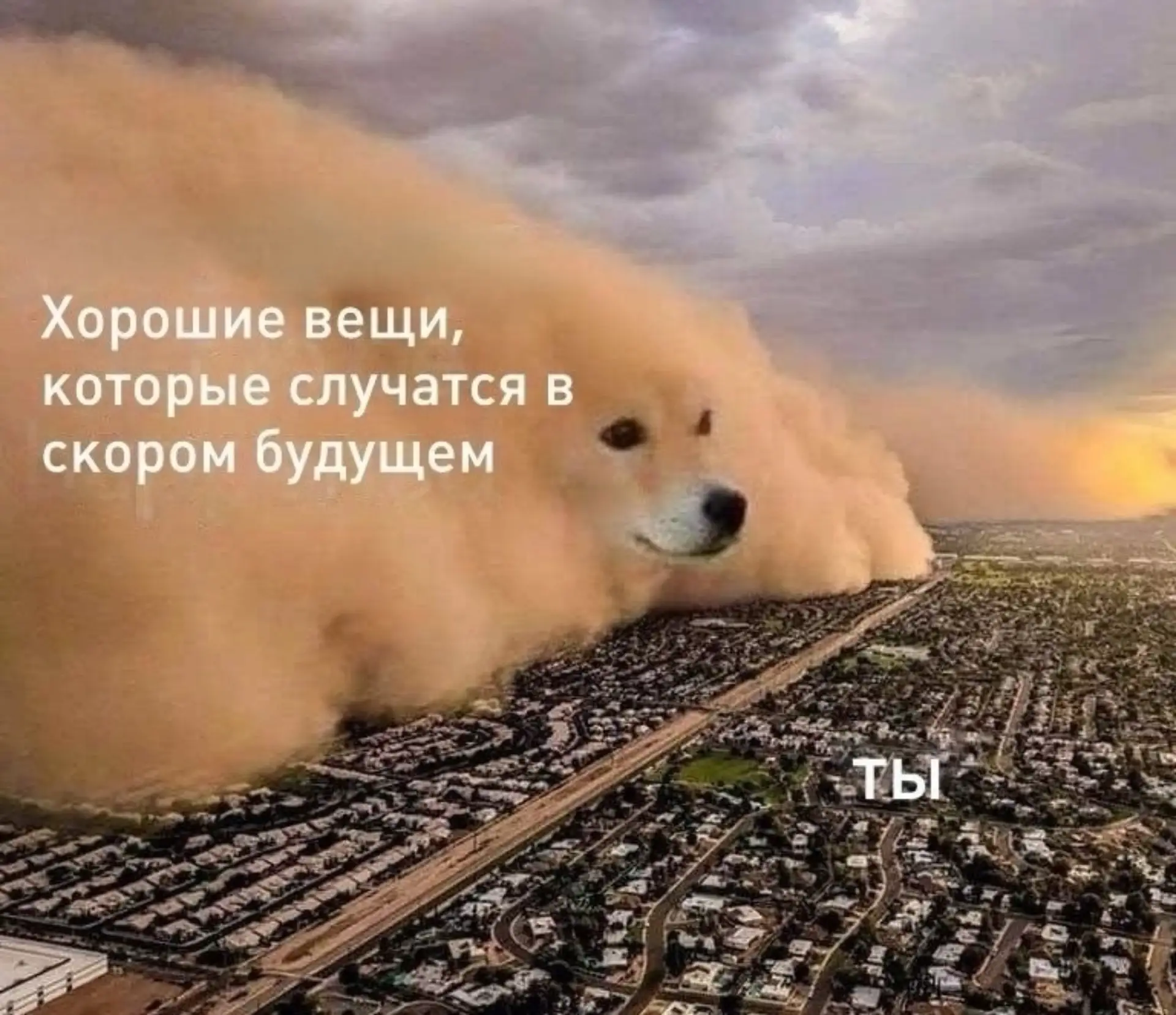 #утросвосьми
