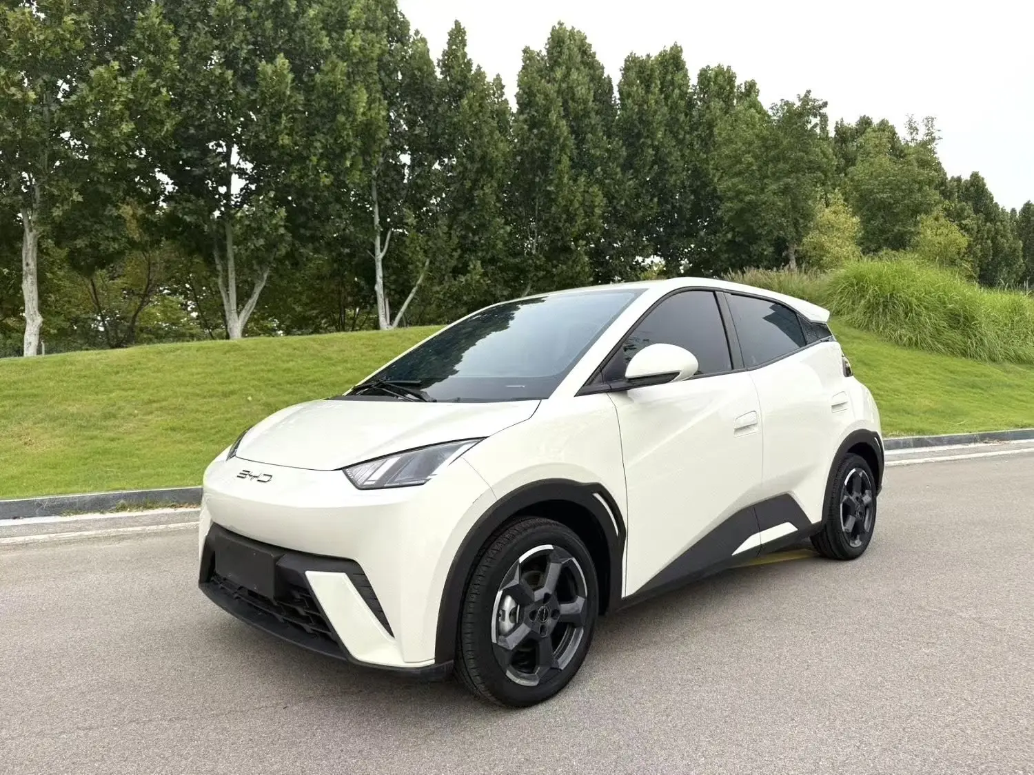 🚗 BYD 305 | 2023 год