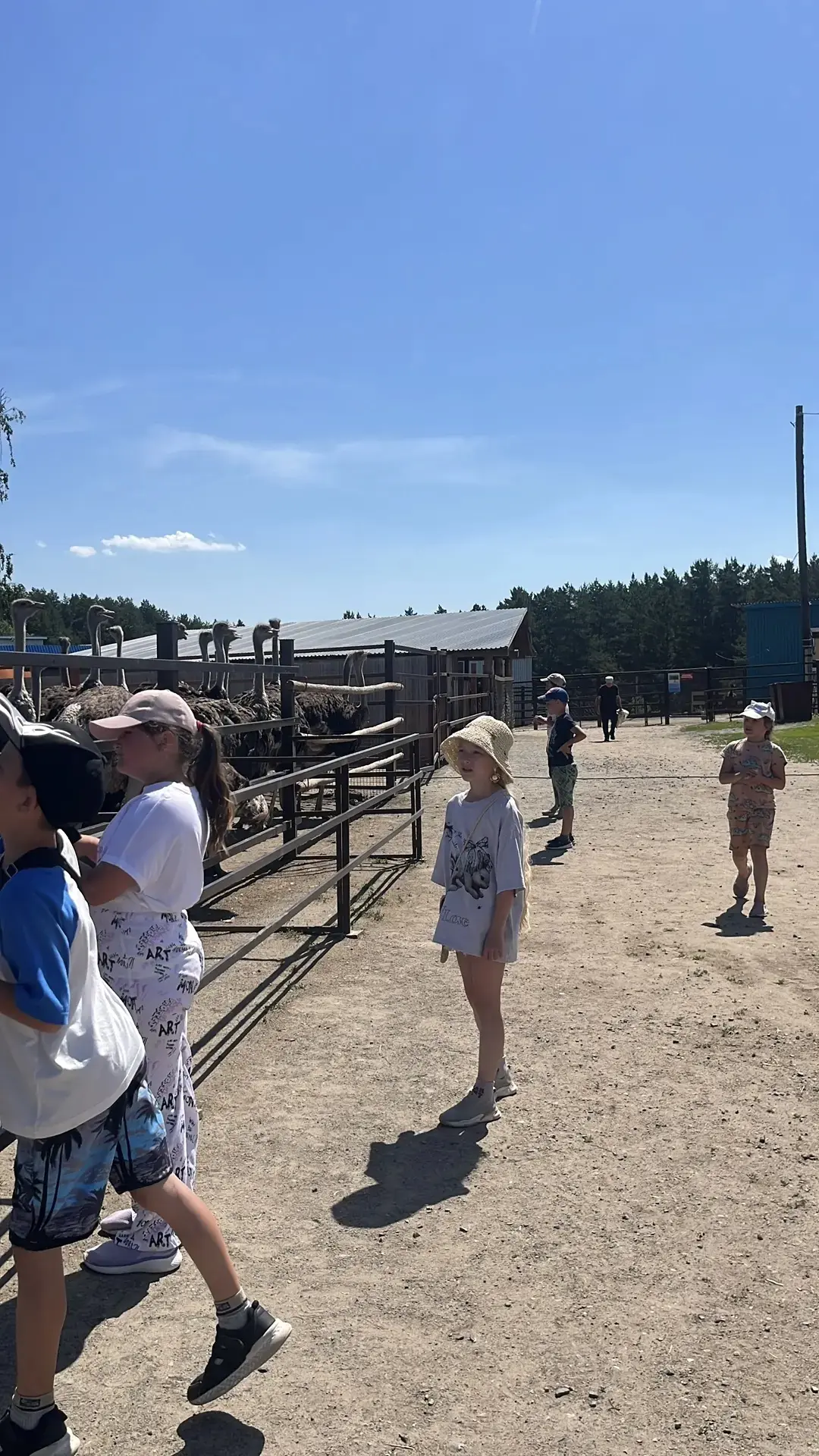 Как прошла наша поездка в «Радуге»? Ярко, весело и с экзотикой! 🦚🐐

Лето в пришкольном лагере «Рад